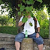 MeistersKatze