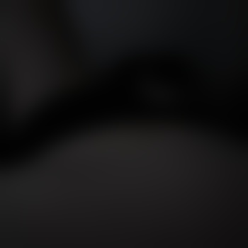 LostPet02