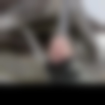 CuckAlex98