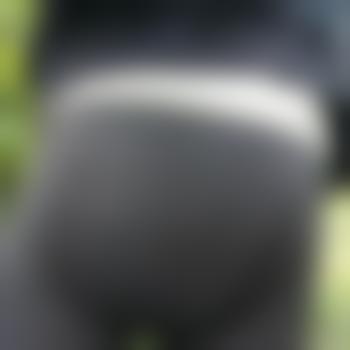 Pampers-Momo