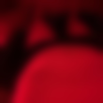 LostPet02