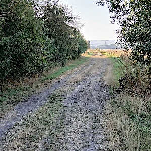 Feldweg zwischen Allstedt und Katharinenrieth
