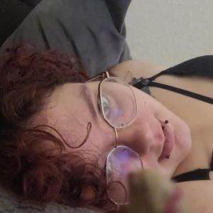 LittelKitten