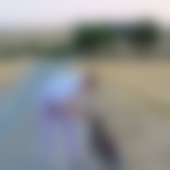 Felix_0800