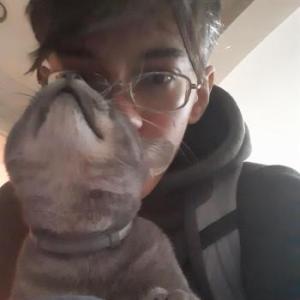 Ruefy