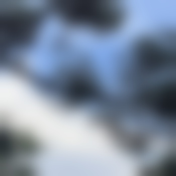 JustARandom_