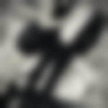 kinky_couple_stgt