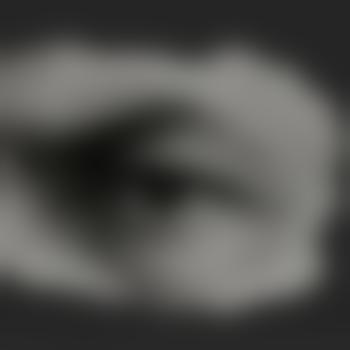 HeinrichVonLustnauer