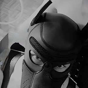 Sub_Puppy1