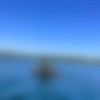 Till_161