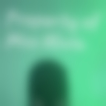 KinkyShrek29
