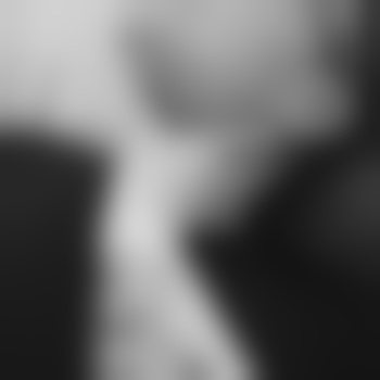 TheLadyAndTheTrampel