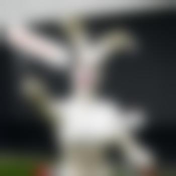 HeinrichVonLustnauer