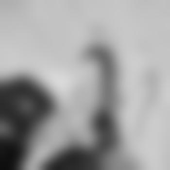 LadyViolessaNocturna