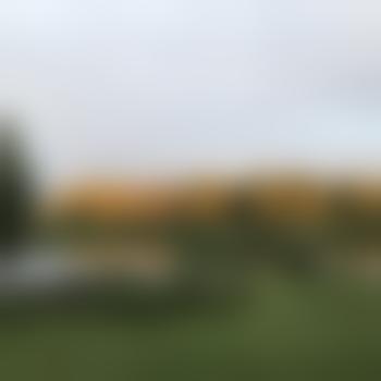 Qui-