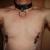 Diener13