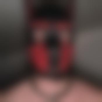 Pup_Apollo