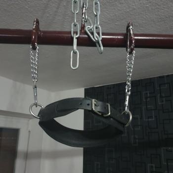 No0815
