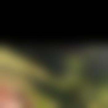Beta-Sub