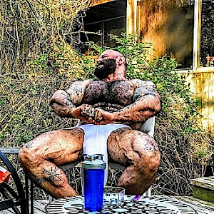 Stallionbull
