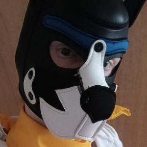 Kiro_Collie