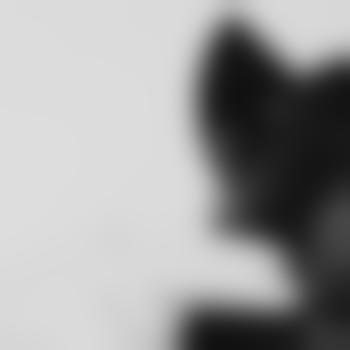 Metalheaaad