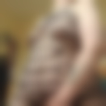 TransBear-