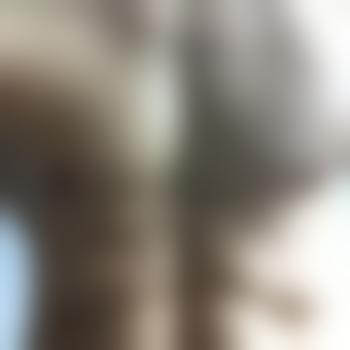DomDesire001