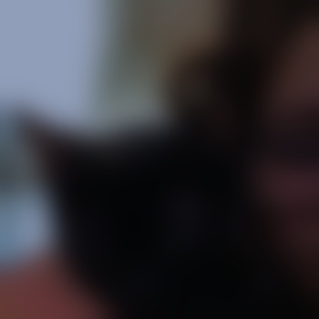 Noxy_8