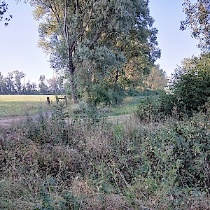 Feldweg zwischen Allstedt und Katharinenrieth