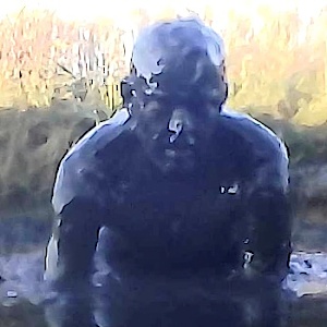Mudloveremden