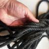 shibaririgger33