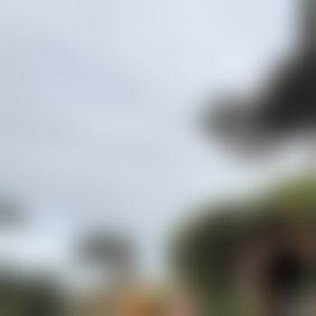 MattSouthSan30