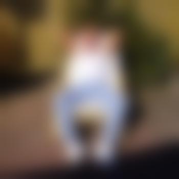 eroticman08