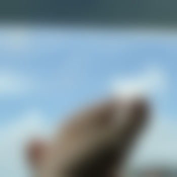fee_fee