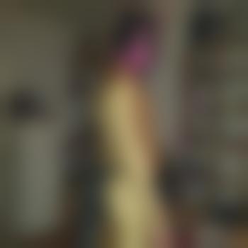 PervTransWindDogSkla