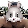 69felixthecat69