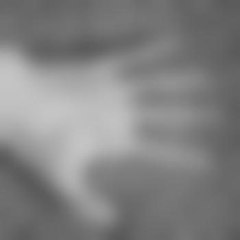 Ev1l_Abyss
