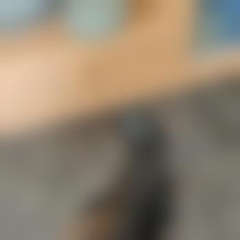 Kinkylatex20