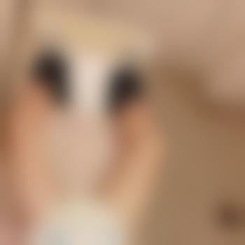 DL-Bubi