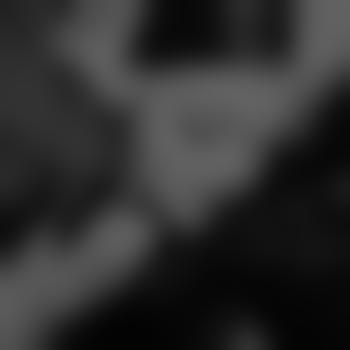 Hylasia_