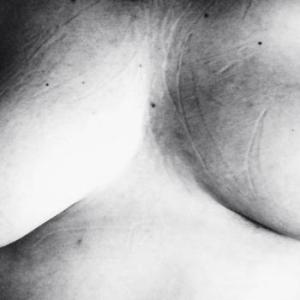 Fantasie-8977
