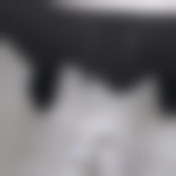 willy_9in