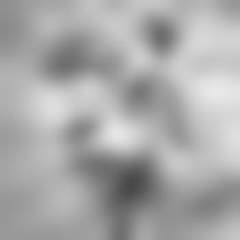 nick_dev