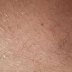 pustra