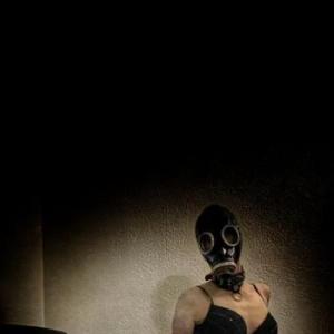 Nightbird