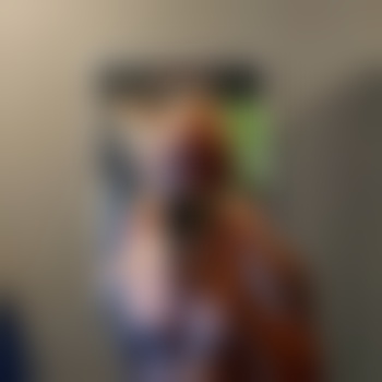 freakerik