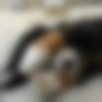 Desperate_puppy07