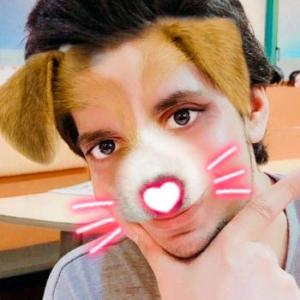 Dogonfours