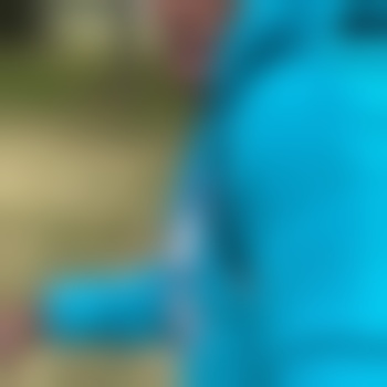 WittyMosquito